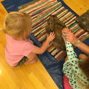 helping in classrooms